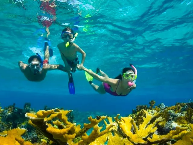 Why are tourists in Hawaii dying while snorkeling?