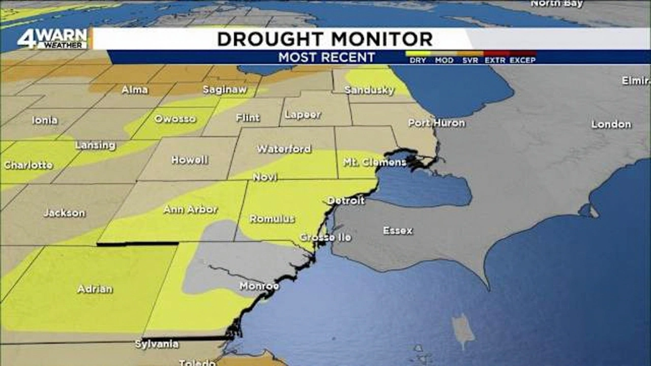 Why This Matters Beyond Soup