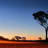 Western Australia by amorphousbeing (Creative Commons)2